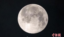 超级月亮新闻爆料,天文爱好者不容错过！