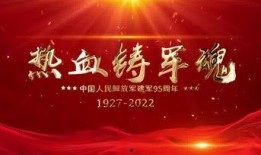 建军95周年爆料视频,揭秘历史瞬间，展望强军未来