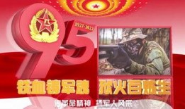 建军95周年爆料视频,揭秘历史瞬间，展望强军未来